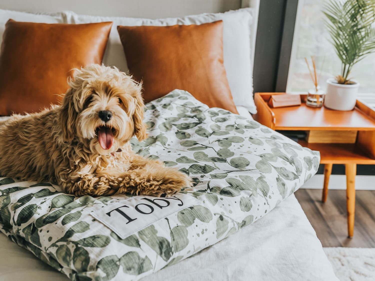 Pop culture dog names sales
